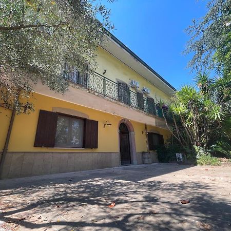 Agriturismo Al Gallo Verde Altavilla Silentina Екстериор снимка
