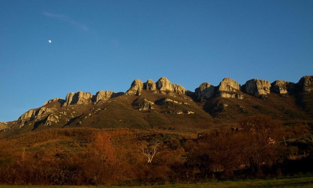 Agriturismo Al Gallo Verde Altavilla Silentina Екстериор снимка